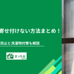 カメムシを寄せ付けない方法まとめ！侵入防止と洗濯物対策も解説