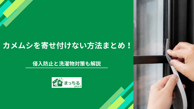 カメムシを寄せ付けない方法まとめ！侵入防止と洗濯物対策も解説