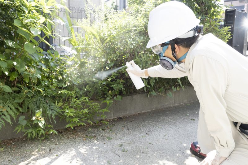 害虫駆除の作業員