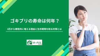 ゴキブリの寿命は何年？1匹から爆発的に増える理由と生存期間を削る対策とは