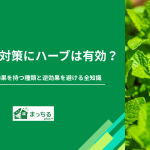 ゴキブリ対策にハーブは有効？最強の忌避効果を持つ種類と逆効果を避ける全知識