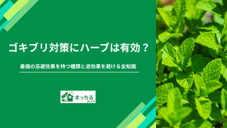 ゴキブリ対策にハーブは有効？最強の忌避効果を持つ種類と逆効果を避ける全知識