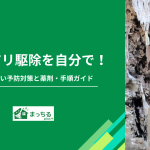 シロアリ駆除を自分で！失敗しない予防対策と薬剤・手順ガイド