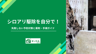 シロアリ駆除を自分で！失敗しない予防対策と薬剤・手順ガイド