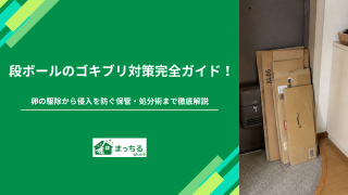 段ボールのゴキブリ対策完全ガイド！卵の駆除から侵入を防ぐ保管・処分術まで徹底解説