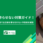 蜂の巣を作らせない対策ガイド！スプレーや木酢液で女王蜂を寄せ付けない予防術を解説