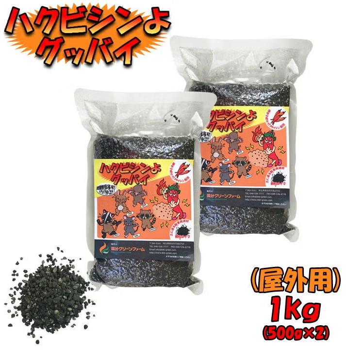 ハクビシンよグッバイ