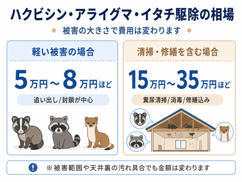 ハクビシン・アライグマ・イタチ駆除の相場