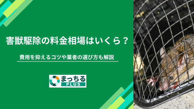 害獣駆除の料金相場はいくら？費用を抑えるコツや業者の選び方も解説
