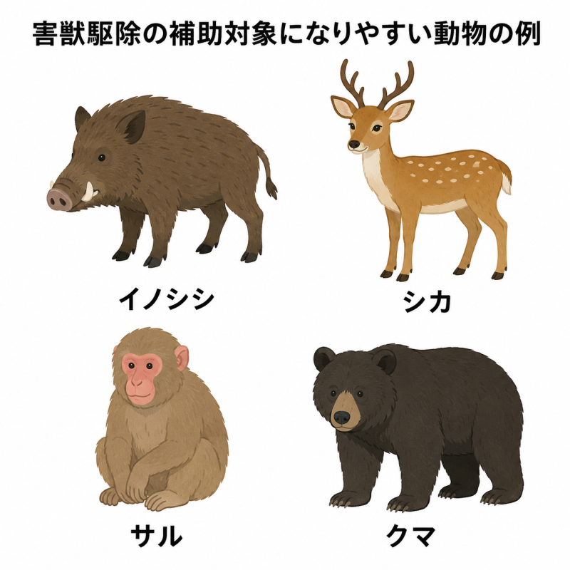 害獣駆除の補助対象になりやすい動物の例