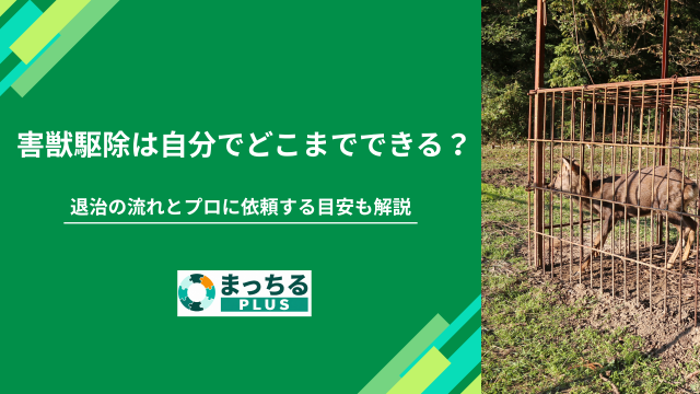 害獣駆除は自分でどこまでできる？退治の流れとプロに依頼する目安も解説