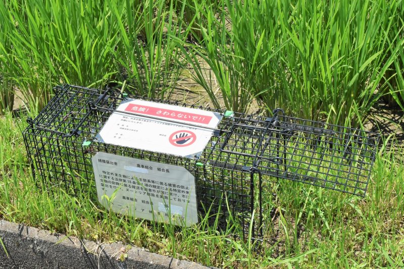 捕獲器