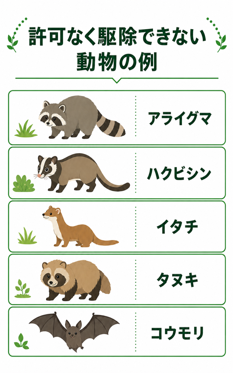 許可なく駆除できない動物の例