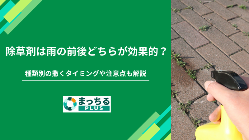 除草剤は雨の前後どちらが効果的？種類別の撒くタイミングや注意点も解説