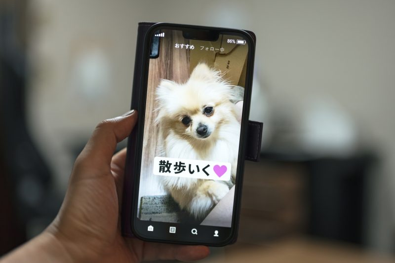 ショート動画