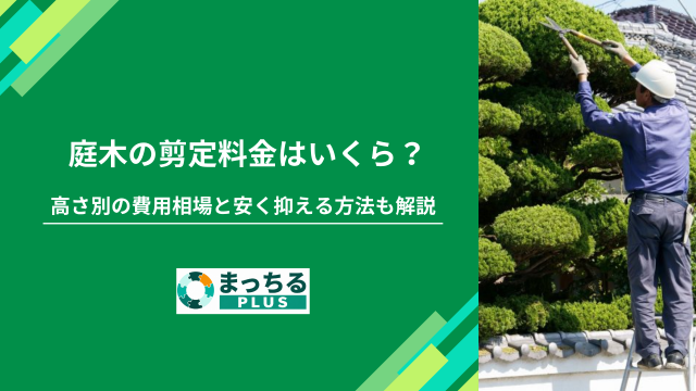 庭木の剪定料金はいくら？高さ別の費用相場と安く抑える方法も解説