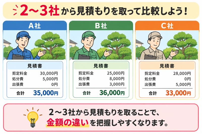 庭木/剪定業者/料金見積