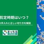 梅の剪定時期はいつ？冬・花後の手入れと正しい切り方を解説