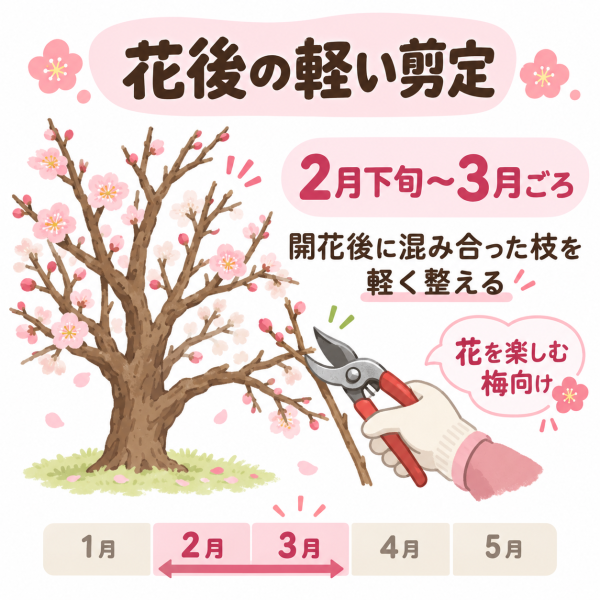 花後の軽い剪定